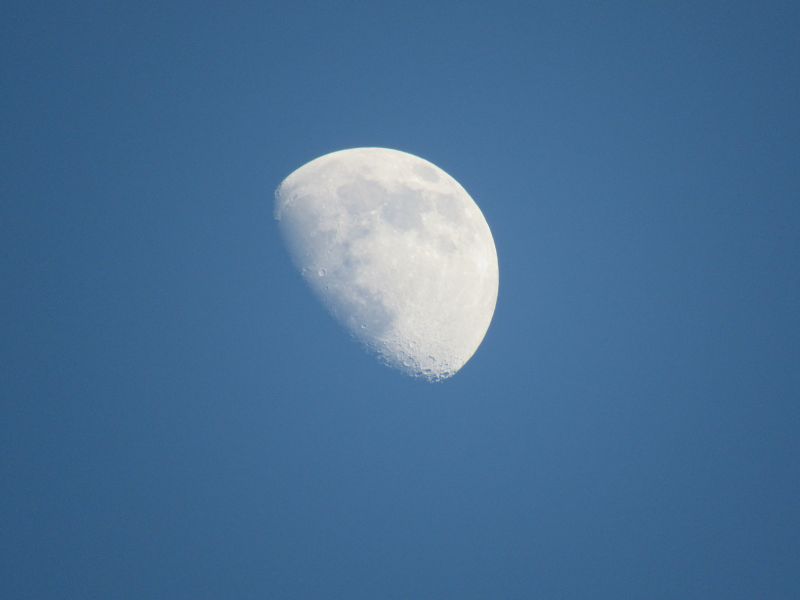 Moon in daylight
