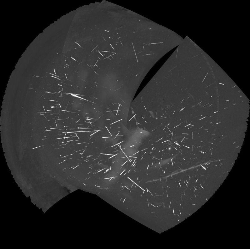 Perseids and others on night of 14th to 15th August 2023
This is a tracked stack of the meteors captured by my two Global Meteor Network cameras on the night of 14th to 15th August, 2023. One camera caught 304 meteors and the other caught 233. There's some field overlap, and some meteors get counted twice because of that. Others get counted twice because they happen across a frame break and appear part in one and part in the next frame. Once those have been accounted for, the final total is 466 meteors in this image. Preliminary analysis identified 77 sporadics, 330 Perseids, 17 Northern delta Aquiriids, 11 eta Eridanids, 9 Piscis Austrinids, 8 August Draconids, 8 kappa Cygnids and 6 Southern delta Aquiriids.
