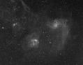 IC405__and_IC410_12x900_QSI_Leitz__F3_dup.jpg