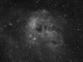 IC410_Tadpole_5x600_ed80_ha__o.jpg