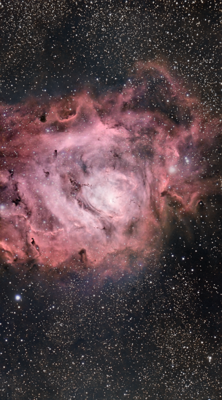 M8 Lagoon Nebula Western portion 
Messier 8 taken with the Seestar S50 in a 5h 27m 20s exposure, 20 second subs. Processed in PixInsight.

M8 is an area within our galaxy where stars are formed, the majority of the material in the image is Hydrogen gas that is being energised by hot young and massive blue stars. These hot stars generate a stellar wind which creates voids in the nebula. The darker areas superimposed on the pink background are cooler dense blobs of gas and dust, known as Bok Globules, which are collapsing to form more stars. Telescopes which can see in the infrared, such as the JWST, can see into these dusty globules and reveal the young stars being born within.
Link-words: Lagoon