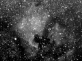 NGC7000.png