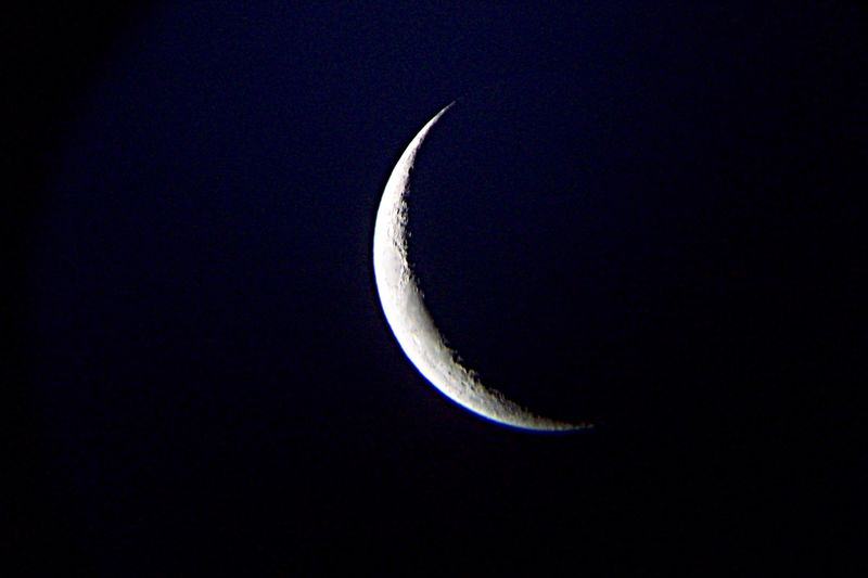 Kelling Heath - moon 1 - april 2010
New Moon taken at the Kelling Heath Star Party with small camera hand held up to telescope.

Note:  Murray is Delphine Murray!
Link-words: Moon