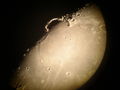 Moon_handle_ARB05.jpg