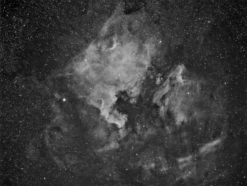 NGC7000 Widefield
A widefield image of the North America and Pelican nebulas
