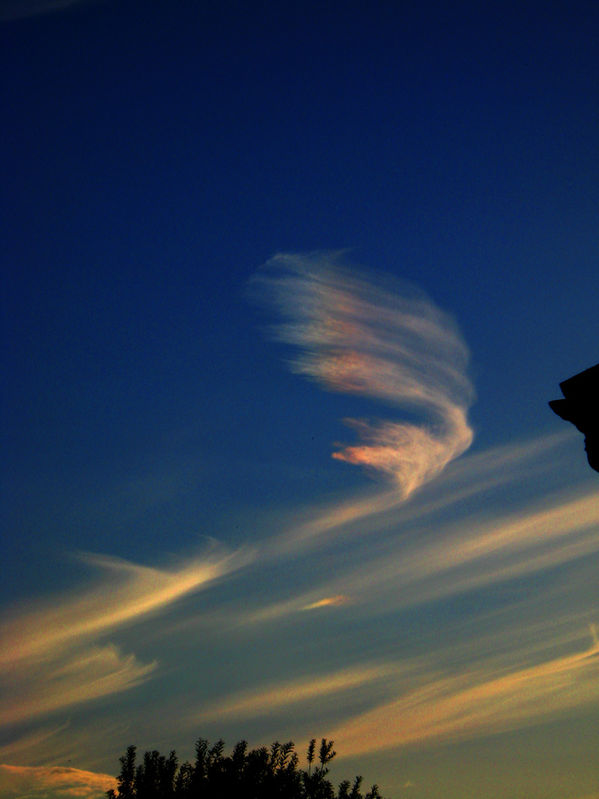 Sunset Cloud Rainbow
Odd rainbow coloured clouds at Mottingham During August.
