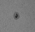 Sunspot_20070828.jpg