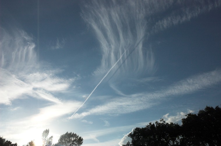 Contrail casting a shadow
Most of us saw this at Aug 2008 Deep Sky Camp
