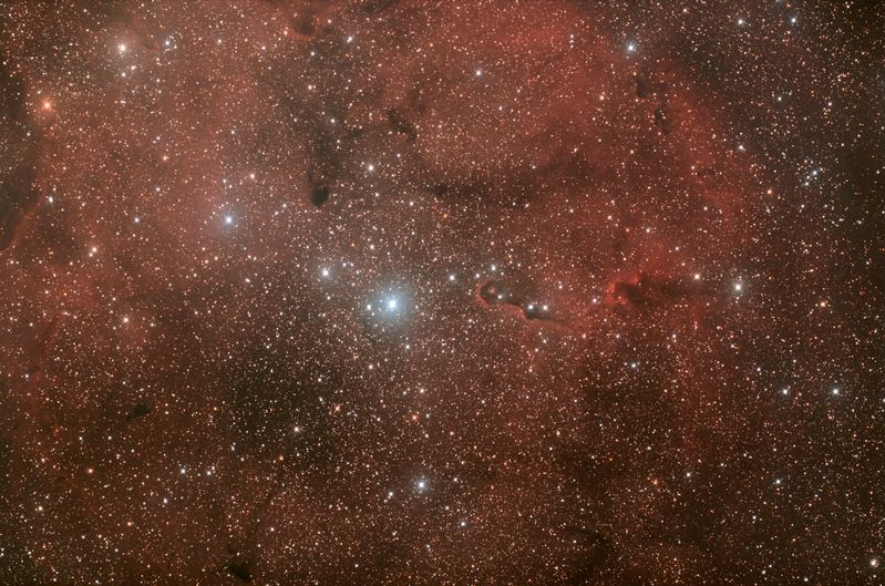 IC1396 - The Elephant Trunk Nebula
Elephant Trunk Nebula taken at May 2010 Deep Sky Camp
