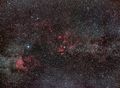 cygnus290608v2.jpg