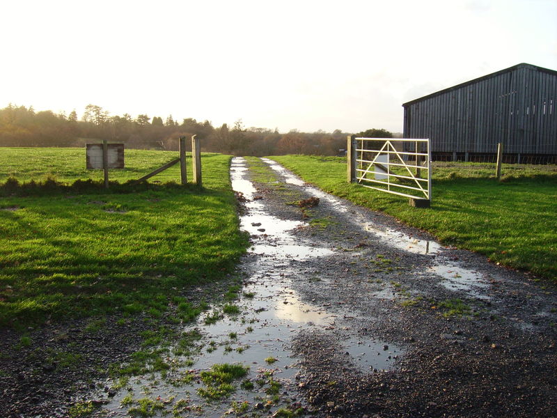 Stairs Farm roadway in and out
