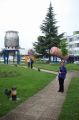 CERN_-_May_2013_284429.JPG