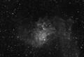 Flaming_Star_Kelling_6_x_1200secs_Atik_Ha_Mono.png