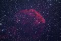 IC443Jellyfish_20160114_FullFrame4h25m.jpg