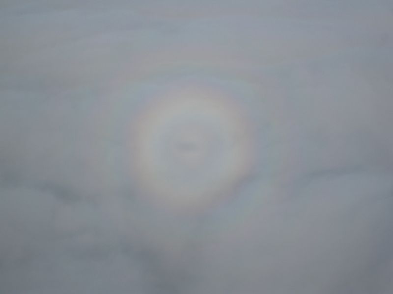 Glory -  flight from Reykjavik to Akureyri 2012 - 02 - 18.JPG
Photograph of a glory taken from aircraft on flight from Reykjavik to Akureyri, Iceland
Link-words: Sun
