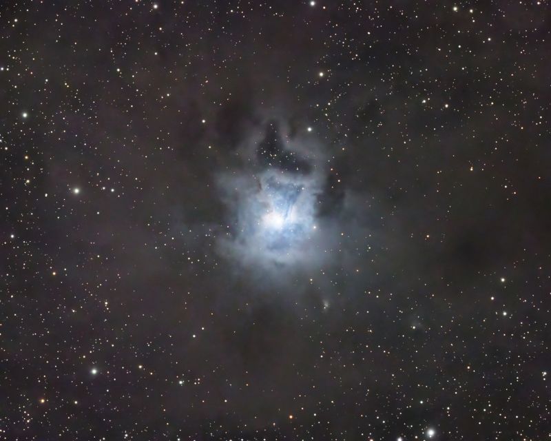 NGC7023LRGB_Cairds
Iris Nebula NGC 7023 with Reflection Nebula LBN 487 (quick process)
