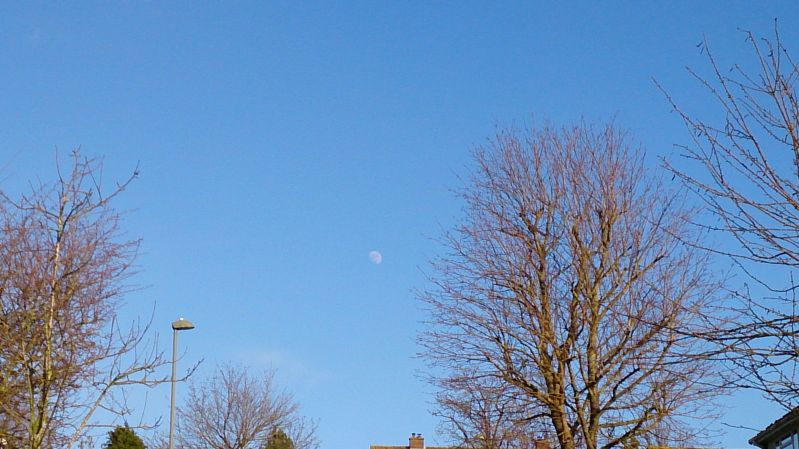 DayMoon over orpington
