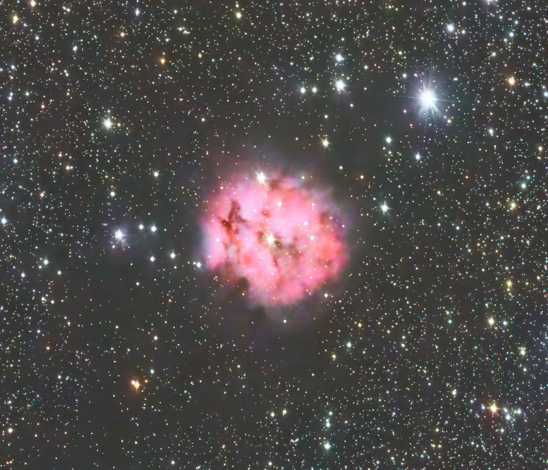 Cocoon Nebula
C19 Cropped from a much wider field image
