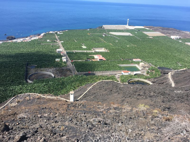 Old lava flow into the Sea
from the 1949 eruption, which is now fertile agricultural land.  La Palma is growing in size 
Photo Carole Pope
Link-words: LaPalma2024