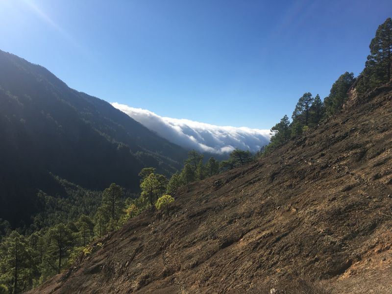 More stunning scenery La Palma
En route to the 2021 volcanic eruption area 
Clouds falling over the southern rim of the Caldera Taburiente
Link-words: LaPalma2024