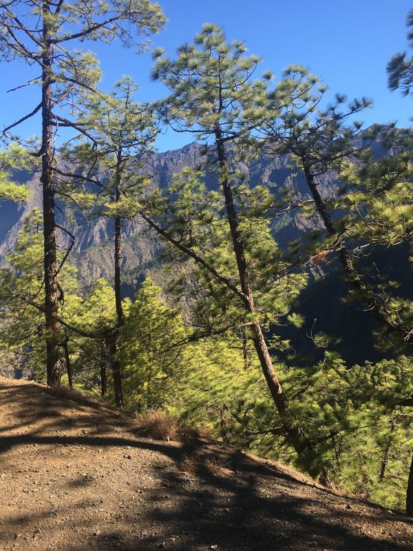 Stunning Scenery en route to 2021 Volcano La Palma
En route to the 2021 eruption area, we saw stunning scenery 
Link-words: LaPalma2024