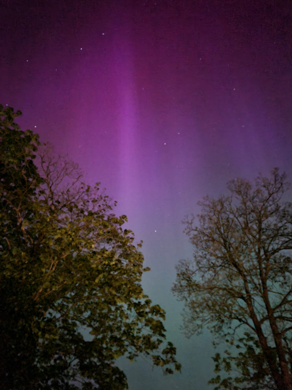 May 2024 Aurora - Mark Owens 
Taken during the exceptional Solar storm from Sun spot ARI3664
One of several
